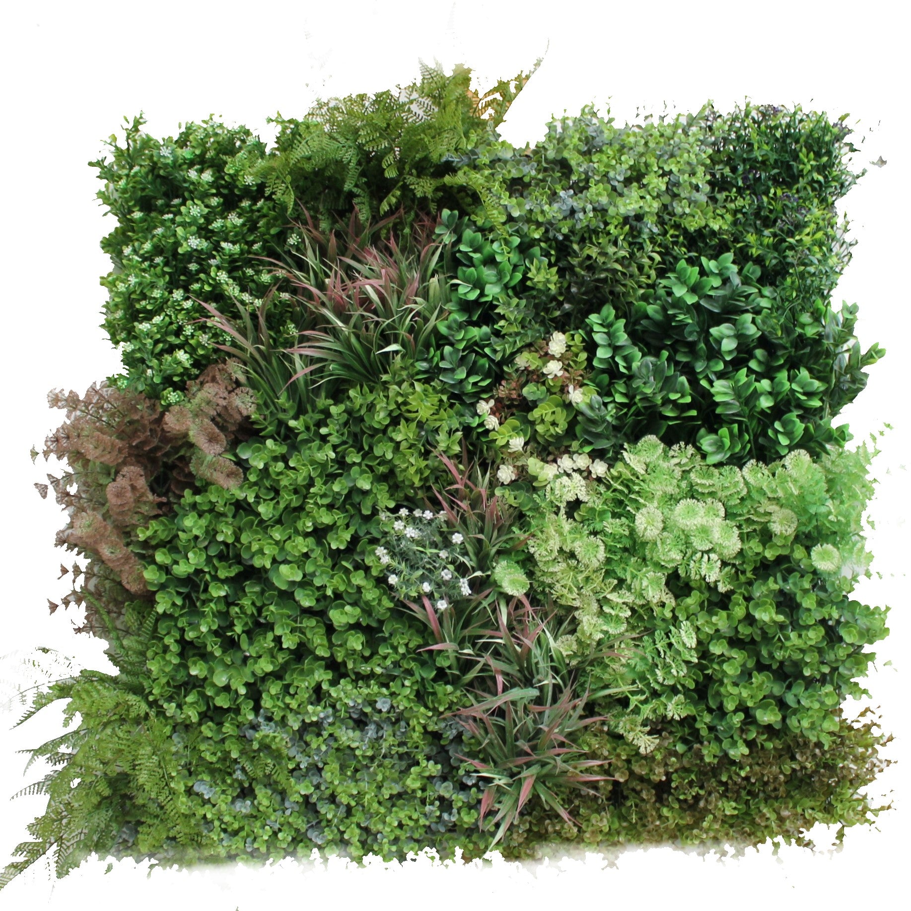 Mauve Meadow | Premier Vertical Garden Screening