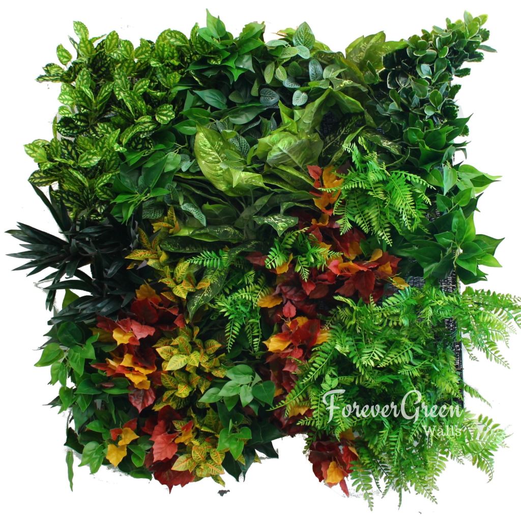 Autumn Amazing | Premier Vertical Garden Screening