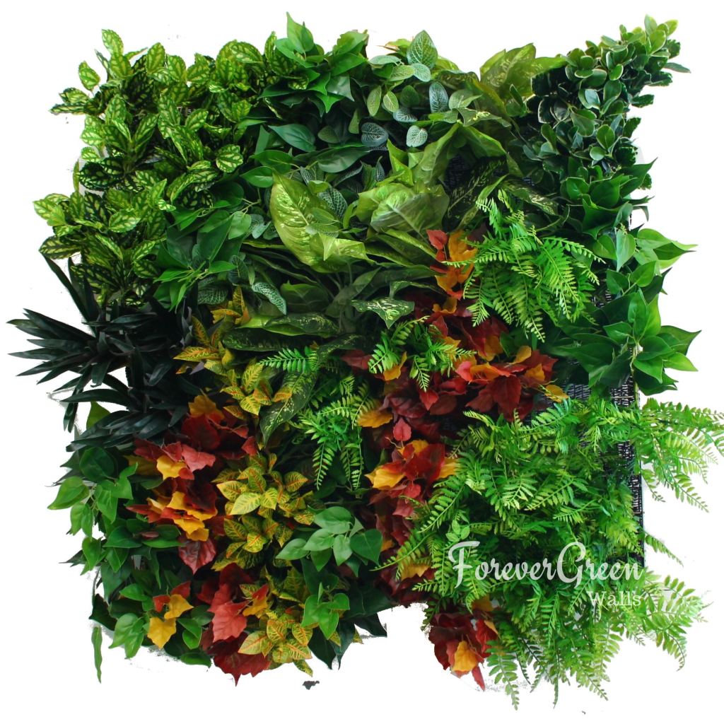 Autumn Amazing | Premier Vertical Garden Screening