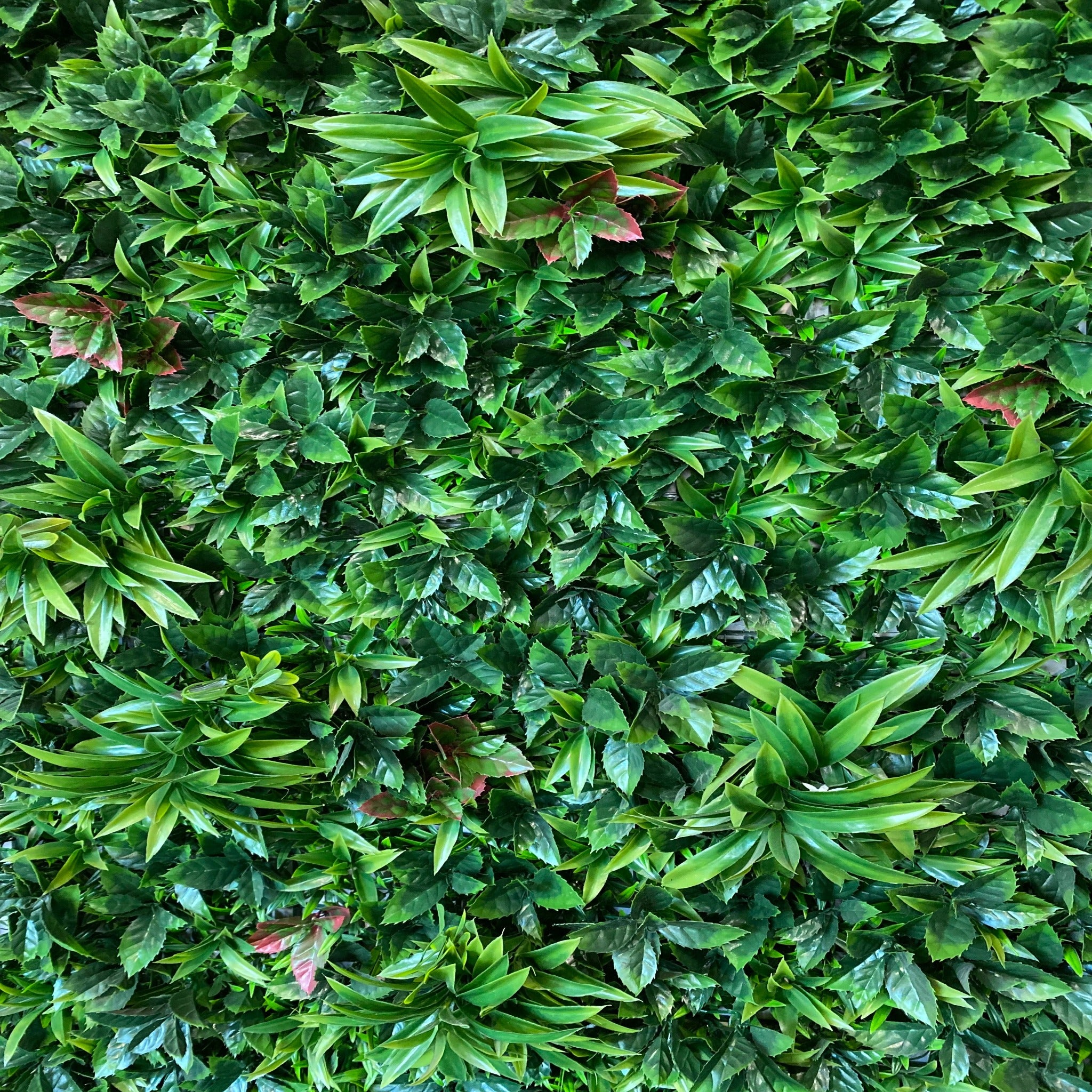 artificial garden wall plant wall fake plants green wall plant panel plant screen plant screening