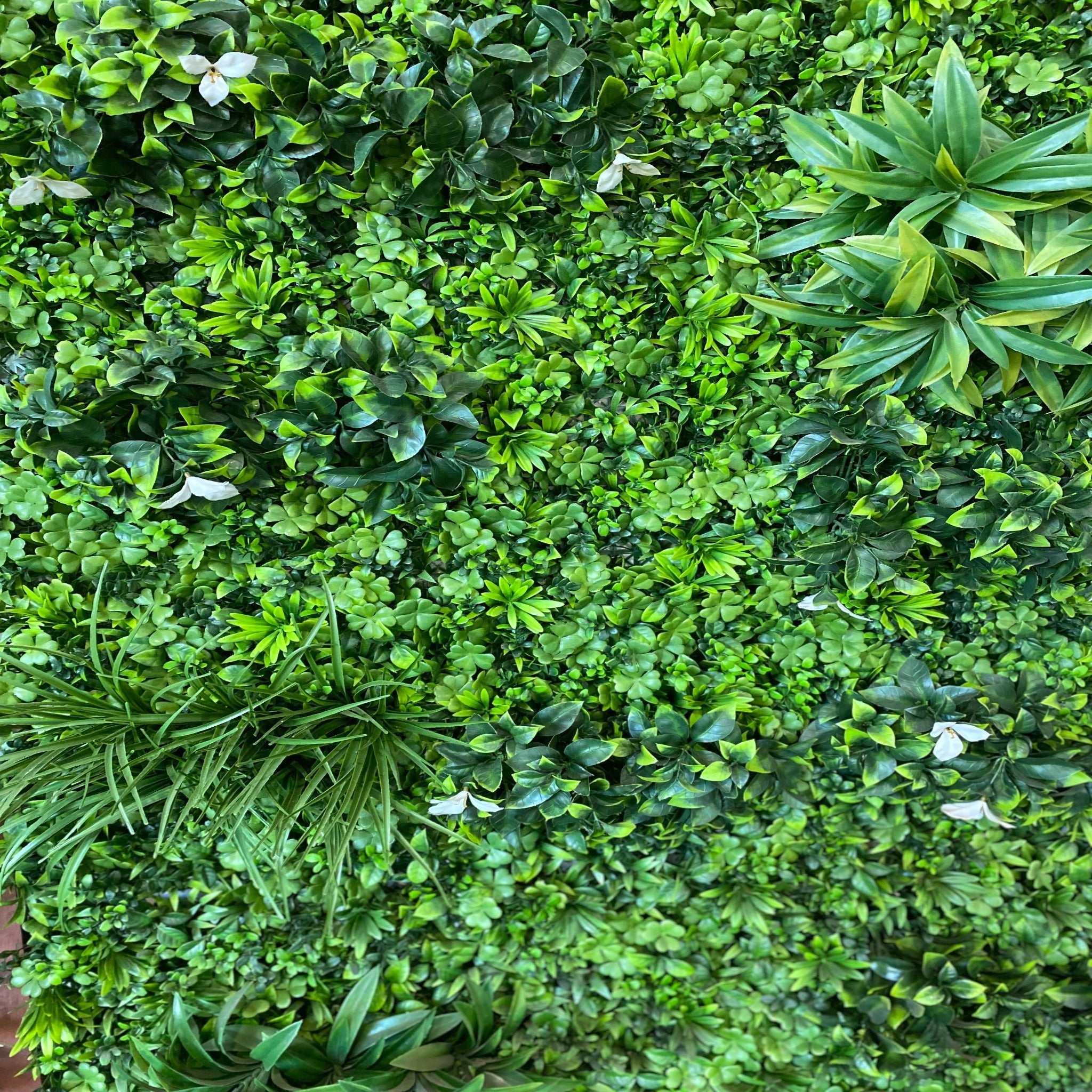 artificial garden wall plant wall fake plants green wall plant panel plant screen plant screening