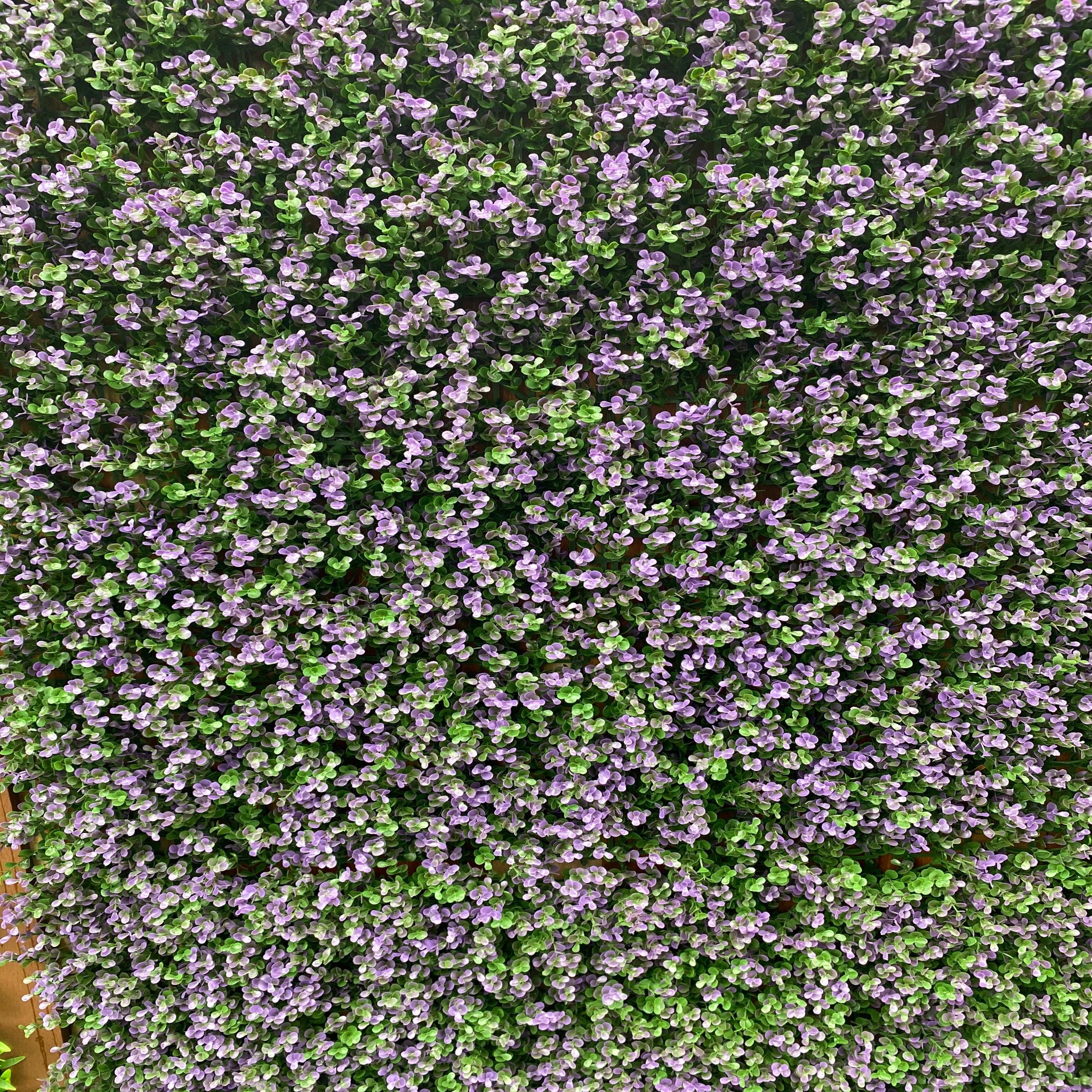 artificial garden wall plant wall fake plants green wall plant panel plant screen plant screening