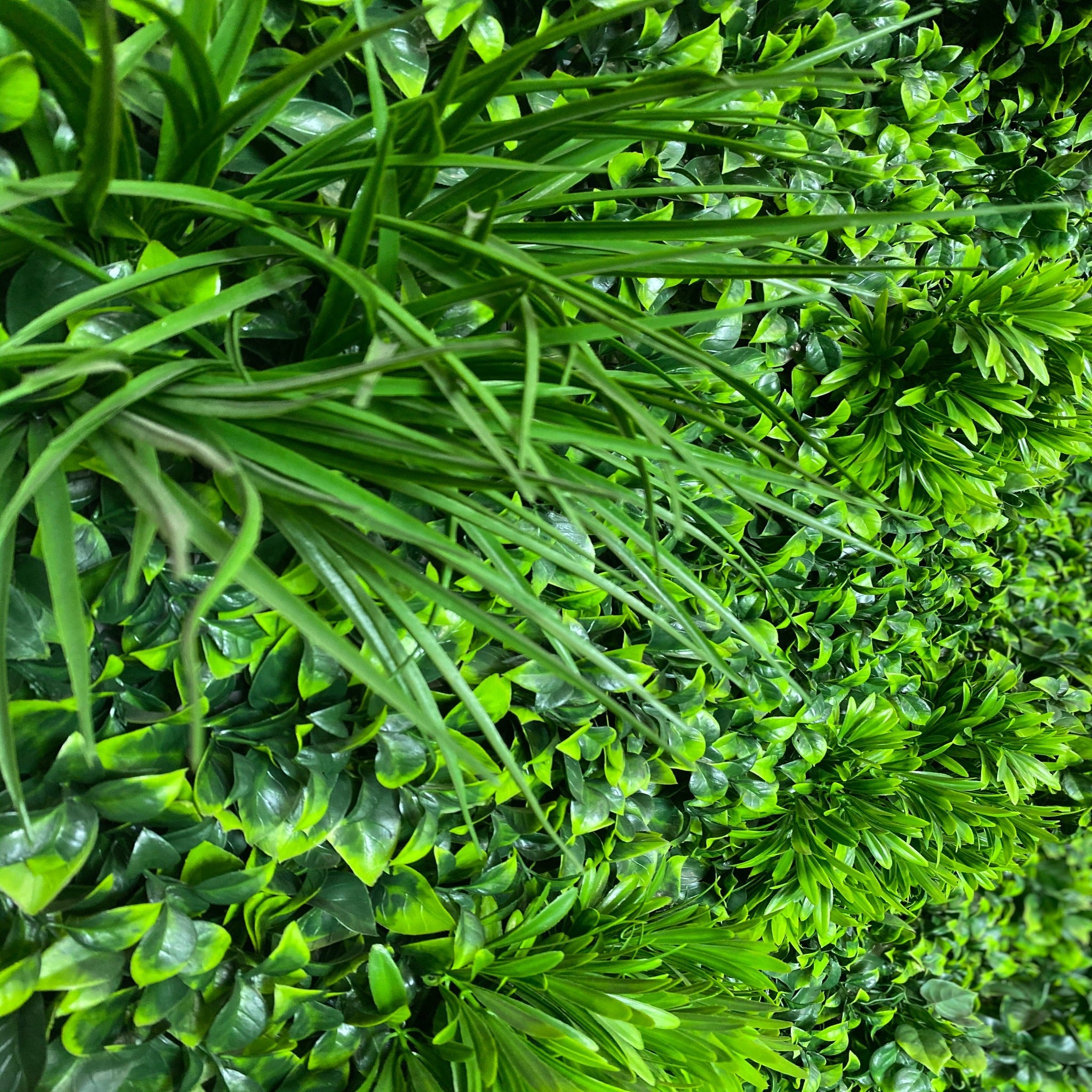 artificial garden wall plant wall fake plants green wall plant panel plant screen plant screening