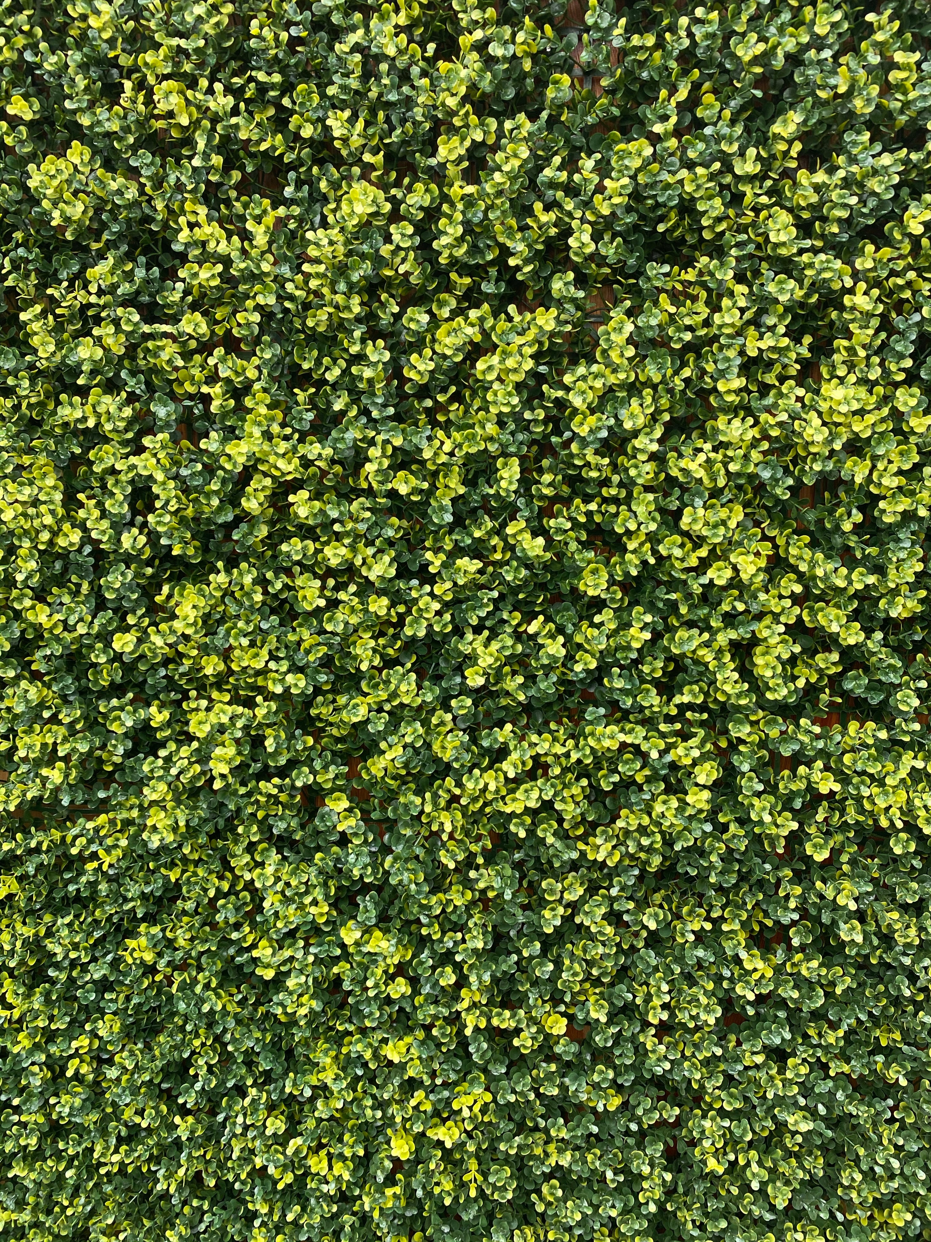 artificial garden wall plant wall fake plants green wall plant panel plant screen plant screening