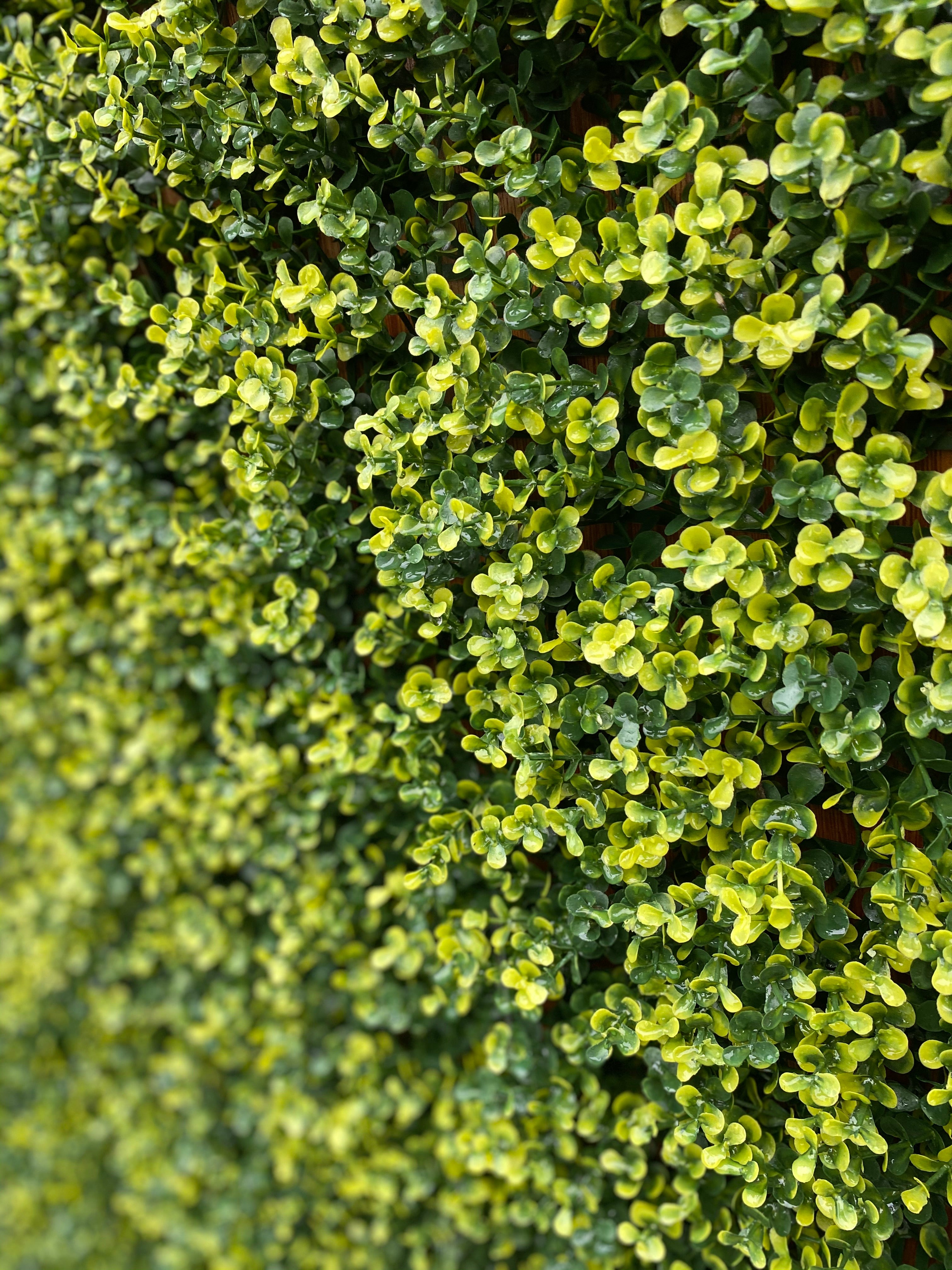 artificial garden wall plant wall fake plants green wall plant panel plant screen plant screening