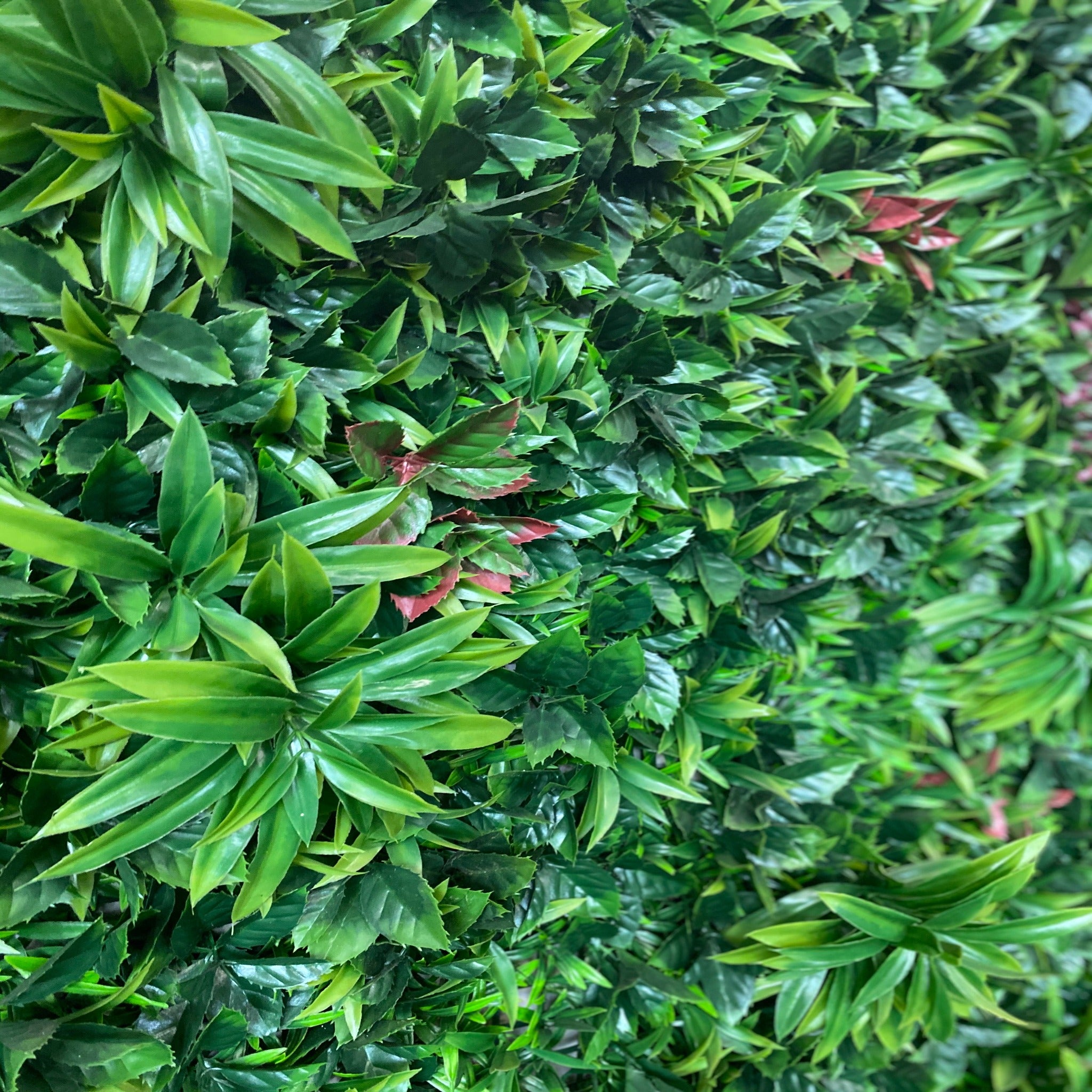 artificial garden wall plant wall fake plants green wall plant panel plant screen plant screening