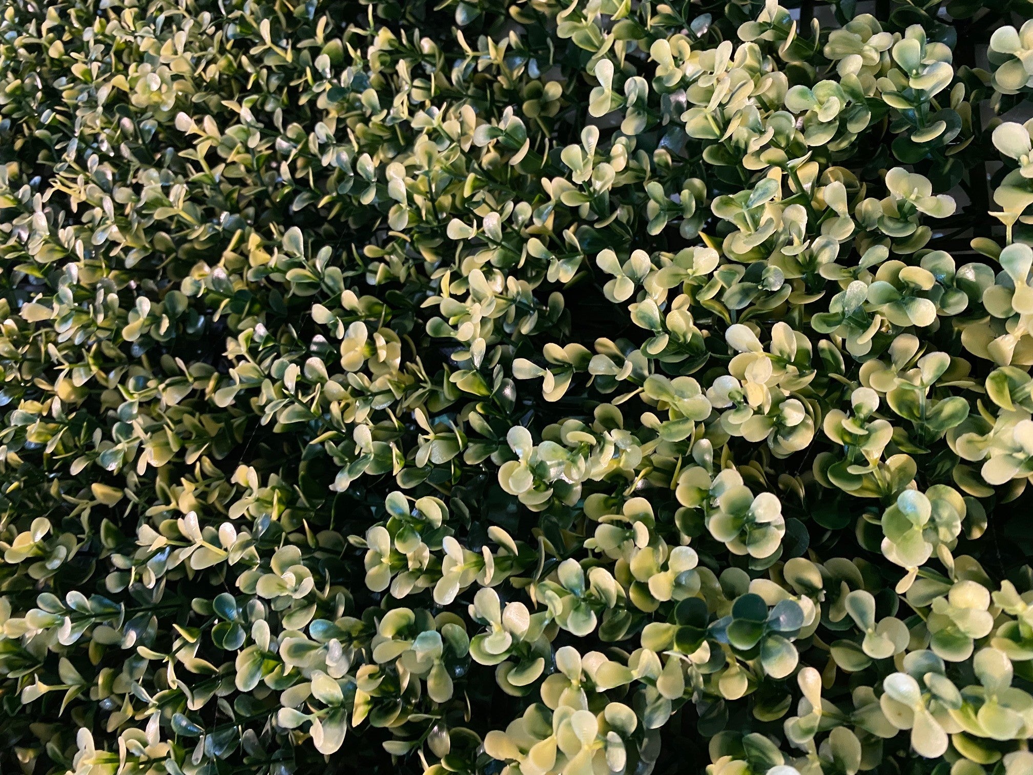 artificial garden wall plant wall fake plants green wall plant panel plant screen plant screening