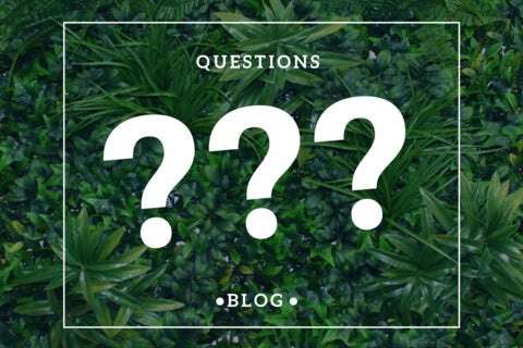 Top 5 Questions asked about Artificial plant walls