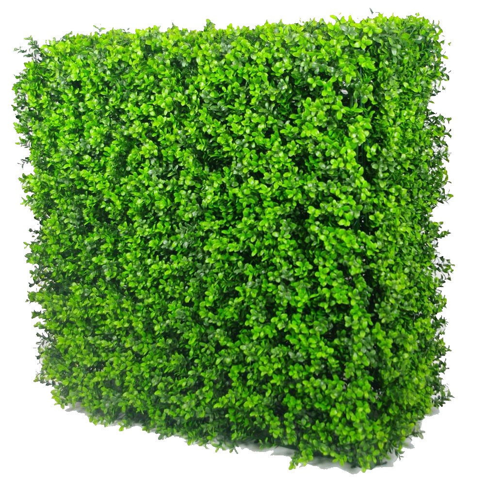 Buy Artificial Box Hedges | Stylish Box Hedge Panels & Screens