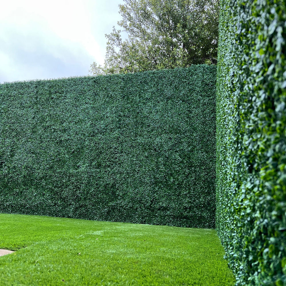 Hedge Walls