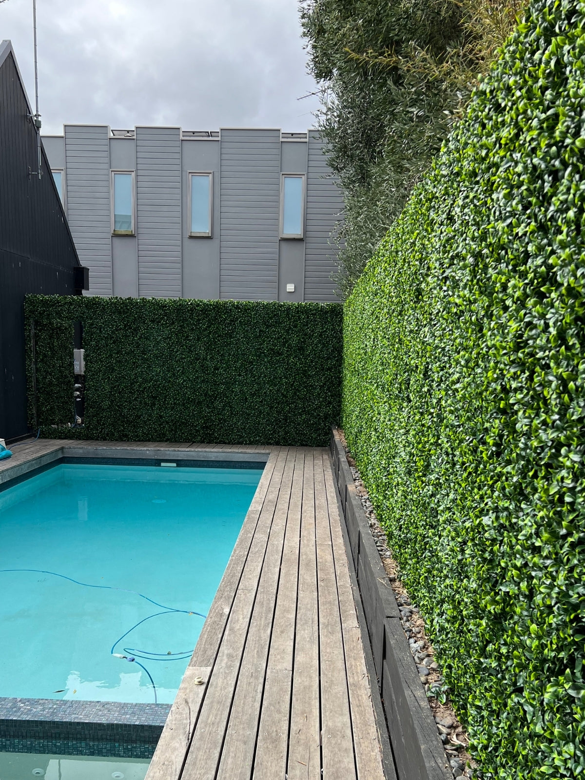 Forever Green Walls installed artificial hedge wall