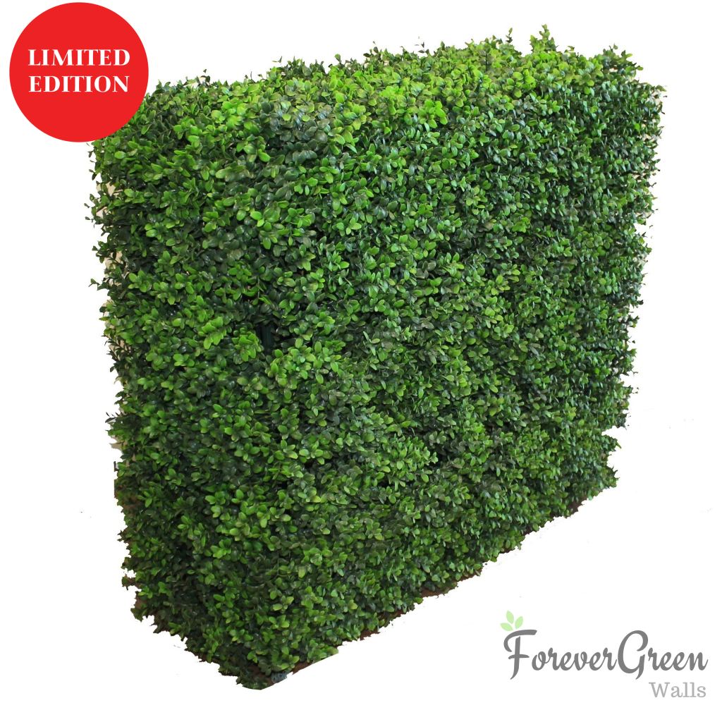 Artificial Portable Hedges | Forever Green Walls Wintergreen Buxus