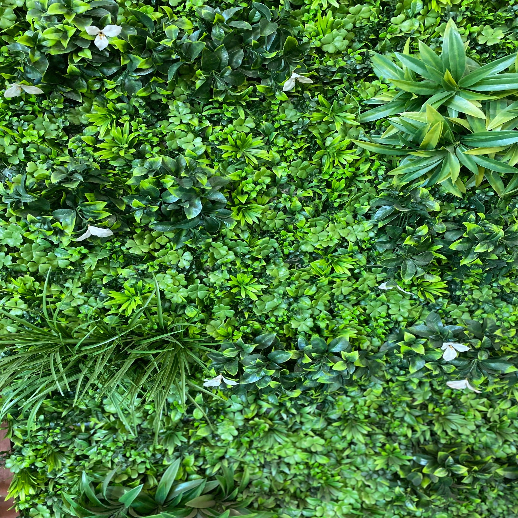 artificial garden wall  plant wall fake plants green wall plant panel plant screen plant screening